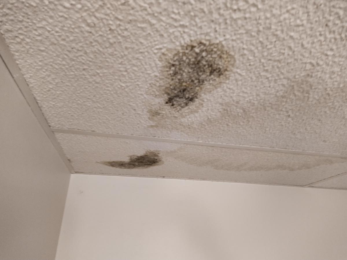 mould_shower_basement