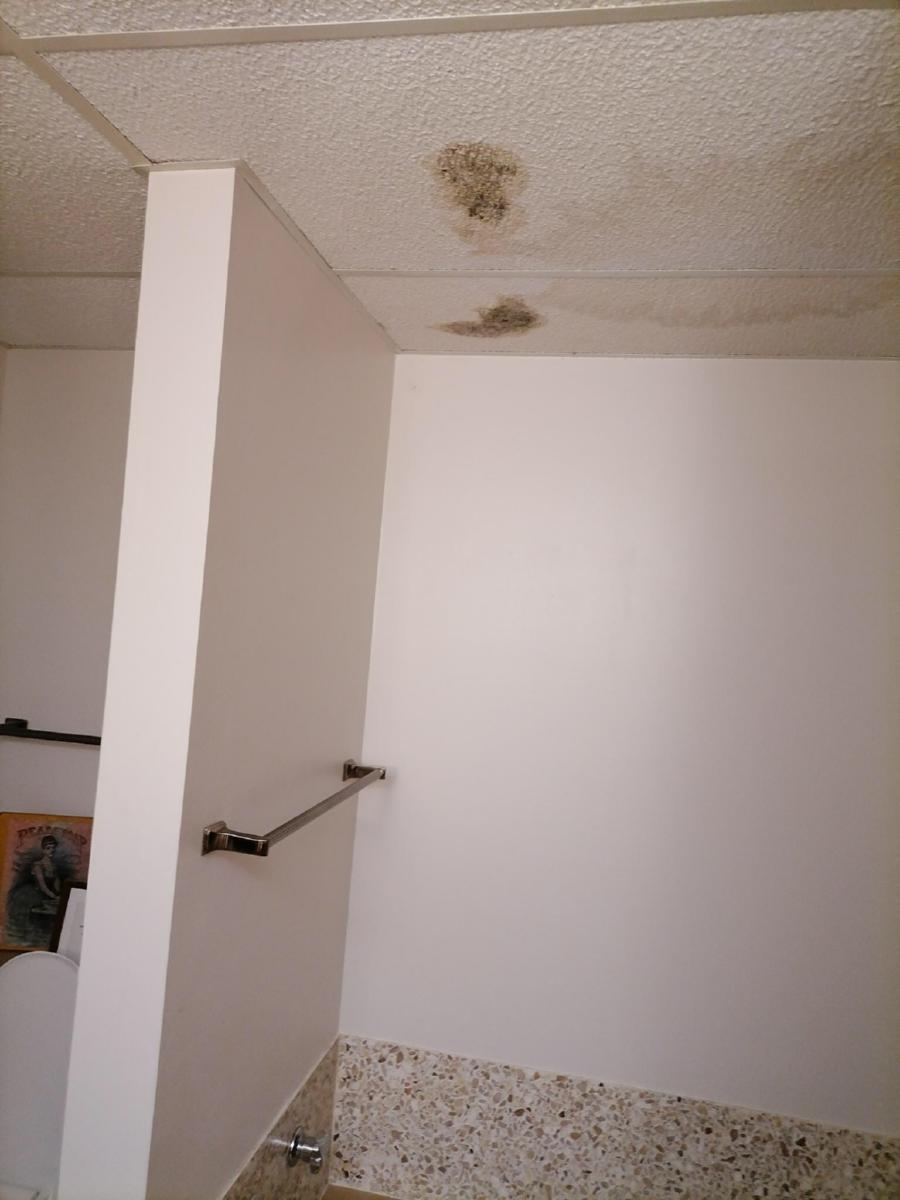 mould_shower_basement